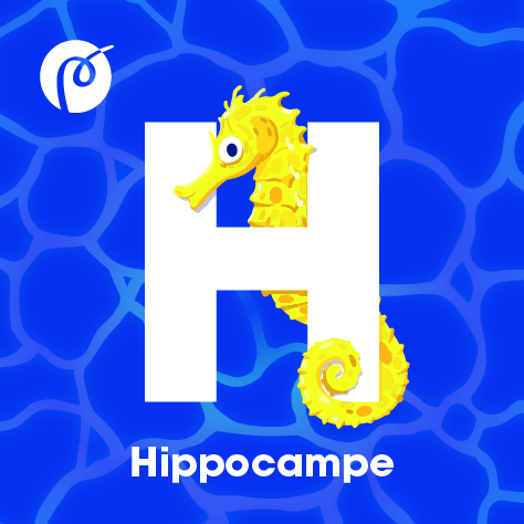 09._MAGNET_HIPPOCAMPE.jpg