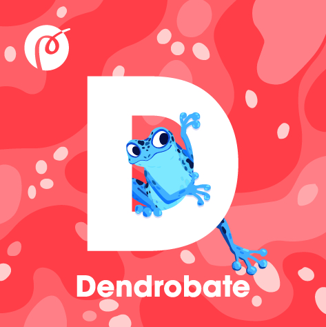 07._MAGNET_DENDROBATE.jpg