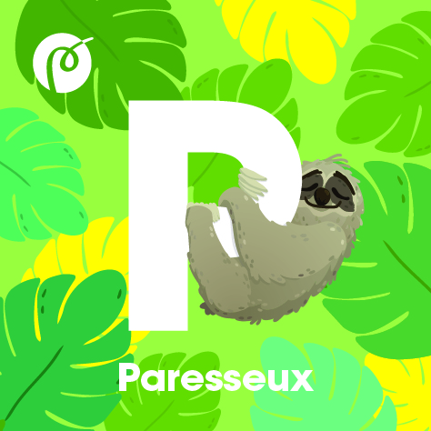 05._MAGNET_PARESSEUX.jpg