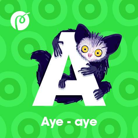 03._MAGNET_AYE_AYE.jpg