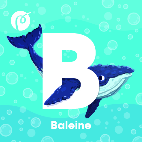 10._MAGNET_BALEINE.jpg