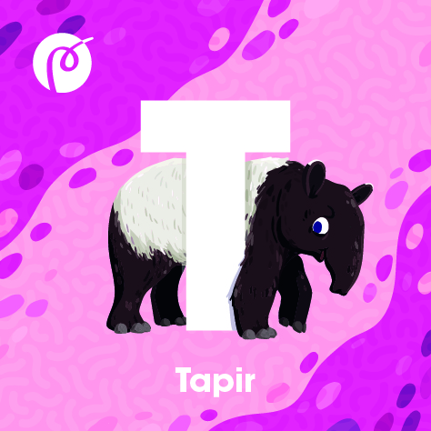 13._MAGNET_TAPIR.jpg