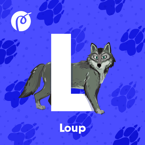 15._MAGNET_LOUP.jpg