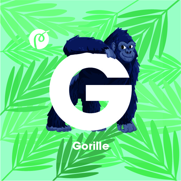18._Gorille.jpg
