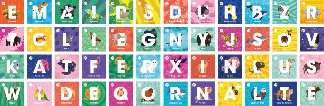 Collection_full-02.png